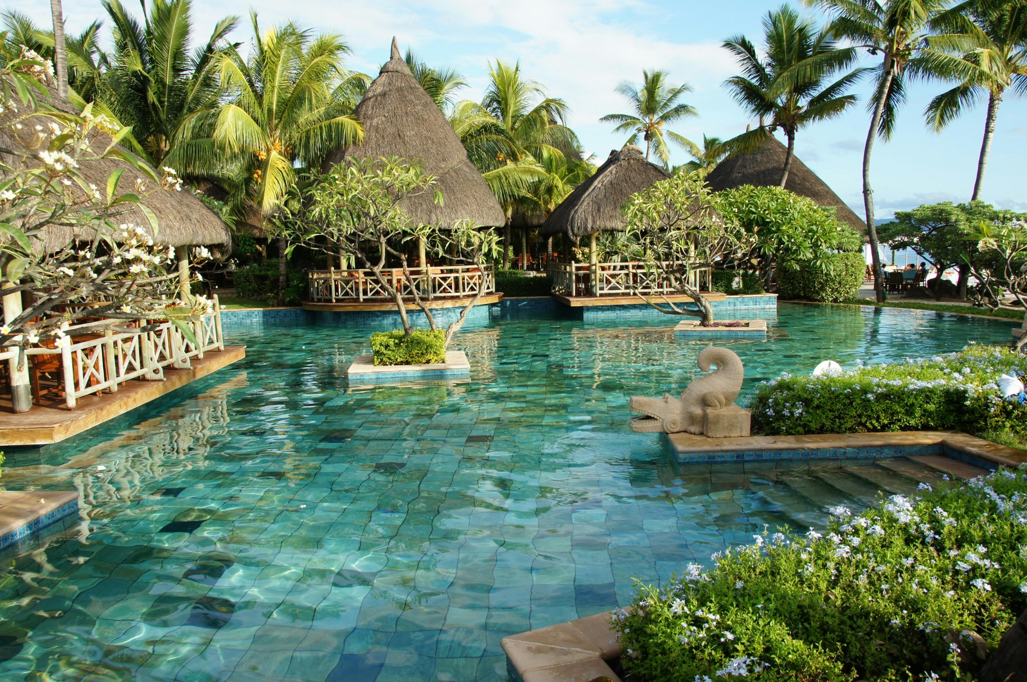 Resort pool framed by palm trees